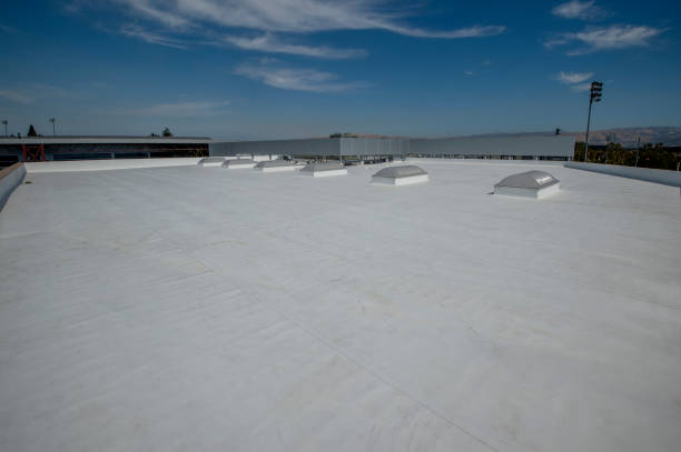 Best Green or Eco-Friendly Roofing Solutions  in Blythewood, SC